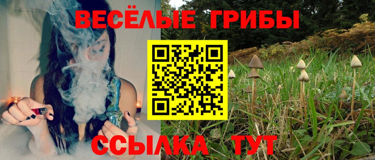 Галлюциногенные грибы MAGIC MUSHROOMS Вязьма