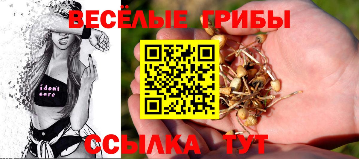 Вязьма  Галлюциногенные грибы MAGIC MUSHROOMS  Вход с VPN 